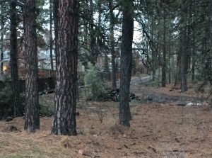 44th_pipe_installation